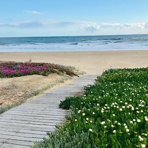 Playa Guest house